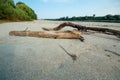 Summer drought on the river and low water on the banks Royalty Free Stock Photo