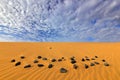 Summer dry landscape in Africa. Black pebble stone. Sand waves in the wild nature. Dunas Maspalomas, Gran Canaria, Spain. Yellow s Royalty Free Stock Photo