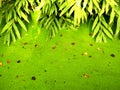 Summer duckweed pond in forest scene Royalty Free Stock Photo