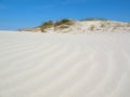 Summer dunes Royalty Free Stock Photo