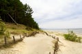 Summer dunes on the coast of the Baltic sea Royalty Free Stock Photo
