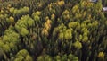 Summer, early autumn in forest aerial top view. Mixed forest, green conifers, deciduous trees, countryside woodland