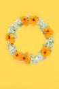 Summer Elderflower and Nasturtium Flower Wreath Royalty Free Stock Photo