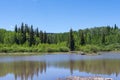 Summer at Enoch Lake on Pinon Mesa, Colorado Royalty Free Stock Photo