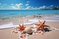 Summer escape Seashells and starfish grace the sun soaked tropical shoreline