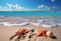 Summer escape Seashells and starfish grace the sun soaked tropical shoreline