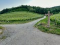 Summer Evening at the Crossroads, A Religious Path through Guebwiller\'s Vineyard Hills, Alsace