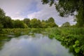 Summer evening golden light on the River Itchen - full of Water Crowfoot (Ranunculus aquatilis) and a well known chalk stream fly