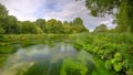 Summer evening golden light on the River Itchen - full of Water Crowfoot (Ranunculus aquatilis) and a well known chalk stream fly