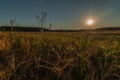 Summer evening landscape. Agricultural field is beautifully illuminated by the setting sun Royalty Free Stock Photo