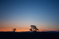 Summer evening landscape with a larch trees on the coast of Lake Baikal Royalty Free Stock Photo