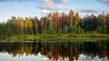 Summer evening landscape on Ural lake with pine trees on the shore, Russia Royalty Free Stock Photo