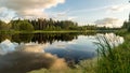 Summer evening landscape on Ural lake with pine trees on the shore, Russia Royalty Free Stock Photo