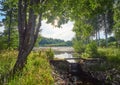 Summer evening landscape with a wooden footpath bridge