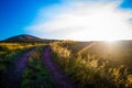 Summer evening mountain landscape. Royalty Free Stock Photo