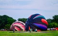 Hot Air Balloons Being Inflated With Cold Air #2