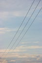 Summer evening sky background, vertical bright blue skyscape copy space, three power line cable wires, pink pastel clouds Royalty Free Stock Photo