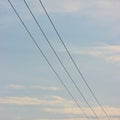 Summer evening sky background, vertical bright blue skyscape copy space, three power line cable wires, pink pastel clouds Royalty Free Stock Photo