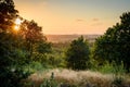 Summer evening sunset, scenic Danish landscape Royalty Free Stock Photo