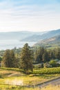 Summer evening view at golden hour of scenic valley with lake and mountains, vineyards and orchards