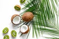 Summer exotic fruits. Kiwi, coconut and palm branch on white background top view