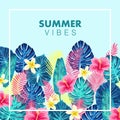 Summer exotic and tropic background design.