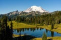 Summer fading at Tipsoo Lake in  Mount Rainer National Park Royalty Free Stock Photo