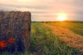 Summer Farm Field with Hay Bales on the Background of Beautiful Sunset. Agriculture Concept. Haystack Scenery. Toned and Royalty Free Stock Photo
