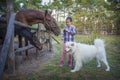 In summer  on the farm  a girl feeds a horse with a foal  and a Samoyed dog stands next to her Royalty Free Stock Photo