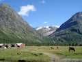 Summer farm in Norway