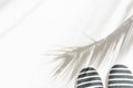 Summer fashion tropical concept. Women`s female beachwear canvas striped shoes on white background with palm leaves silhouette