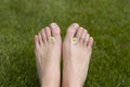 Summer feet toes
