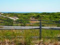 Summer Fence