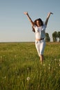 Summer field Royalty Free Stock Photo