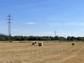 summer field farm landscape