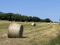 summer field farm landscape