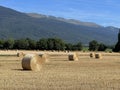 summer field farm landscape