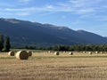 summer field farm landscape