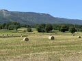 summer field farm landscape