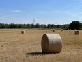 summer field farm landscape