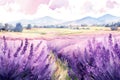 Summer field flower blue nature france countryside lavender background provence purple landscape rural colorful Royalty Free Stock Photo