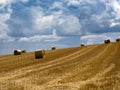 Summer Field with Hay Bales. under storm clouds.Agriculture Concept Royalty Free Stock Photo