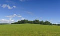 Summer field landscape background. Green meadow with hill, grass, forest and sunny blue sky. Royalty Free Stock Photo