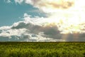 Summer field landscape and beautiful sky with dramatic clouds and bright sun rays Royalty Free Stock Photo