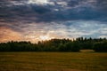 Summer field landscape. Russian open spaces. Field and sky field background Royalty Free Stock Photo