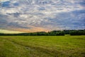 Summer field landscape. Russian open spaces. Field and sky field background Royalty Free Stock Photo