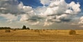 Summer field landscape. Stacks of mowed grass, hay. Blue sky and white clouds. Royalty Free Stock Photo