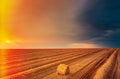 Summer Field Meadow With Hay Bales Under Sunset Sunlight. Bright Sky And cut straw on Ground. Sun Over Rural Countryside Royalty Free Stock Photo