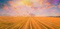 Summer Field Meadow With Hay Bales Under Sunset Sunlight. Bright Sky And cut straw on Ground. Sun Over Rural Countryside Royalty Free Stock Photo