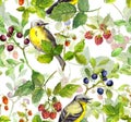 Summer field - repeating pattern with herbs and berries.